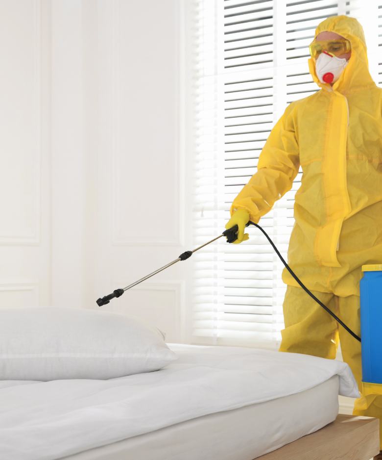 Professional Pest Control Team in Hazelwood Park